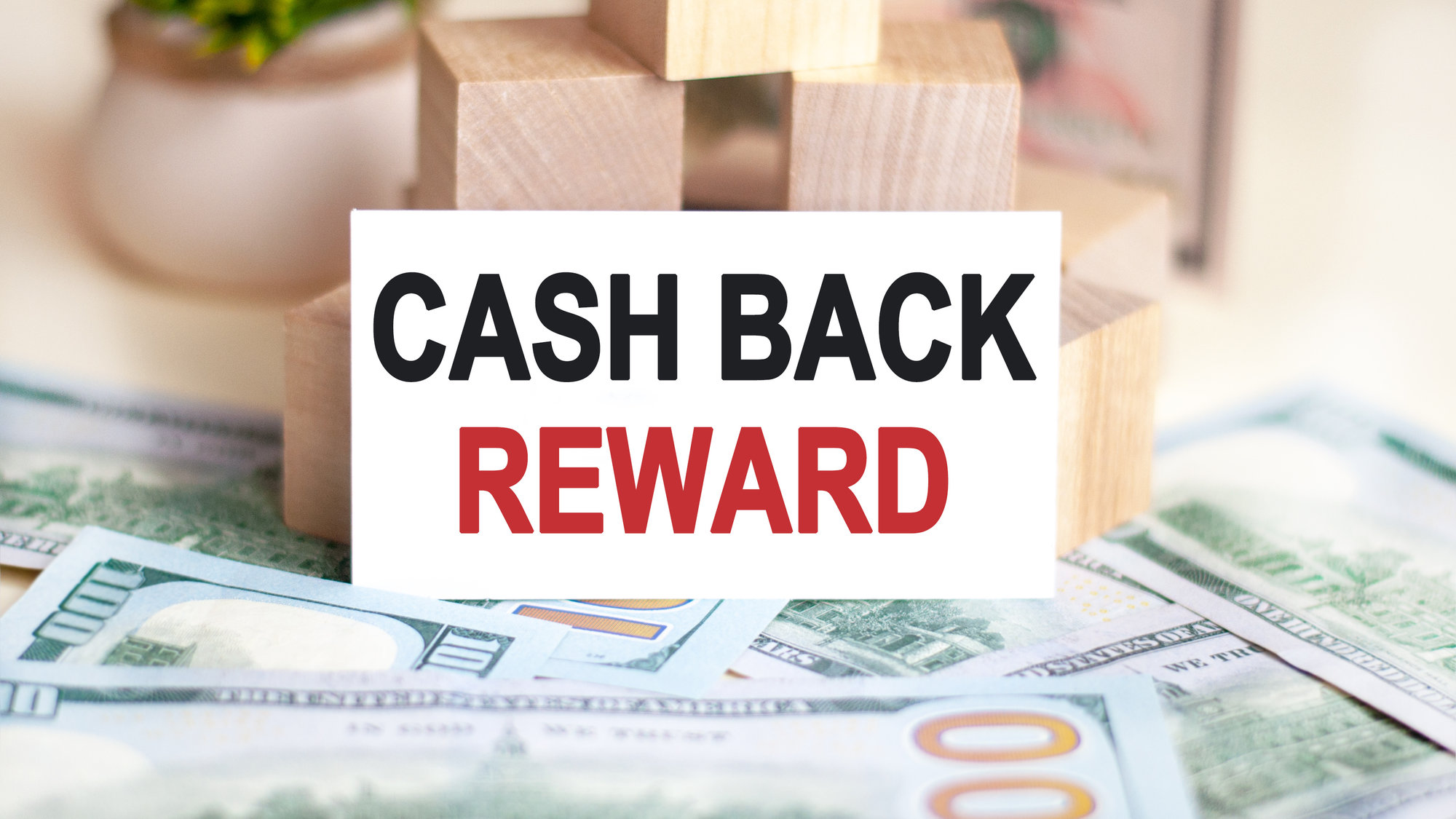 Up To $500 Cash Rebate Reward on High Rise Apartments For Rent in Dallas, TX
